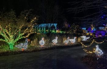 Gardens Aglow. STEVE EDWARDS/Boothbay Register