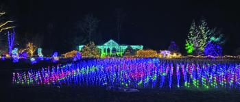 Gardens Aglow. STEVE EDWARDS/Boothbay Register