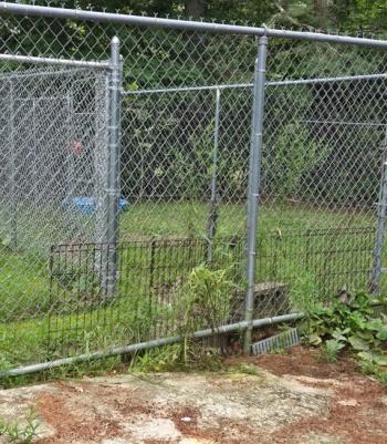 Fence repair. Midcoast Humane photo