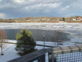 The open water at the mouth of the Cobbesseecontee Stream in Gardiner invites a flock of mallards each winter. (Photo courtesy of Jeff Wells)