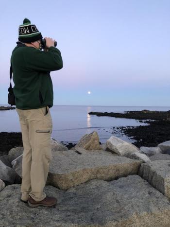 #bird-column, #boothbay-register, #wiscasset-newspaper, #Jeff-and-Allison-Wells, #birds, #maine, #rock-wren, #harlequin-ducks