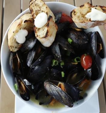 Damariscotta Mussels